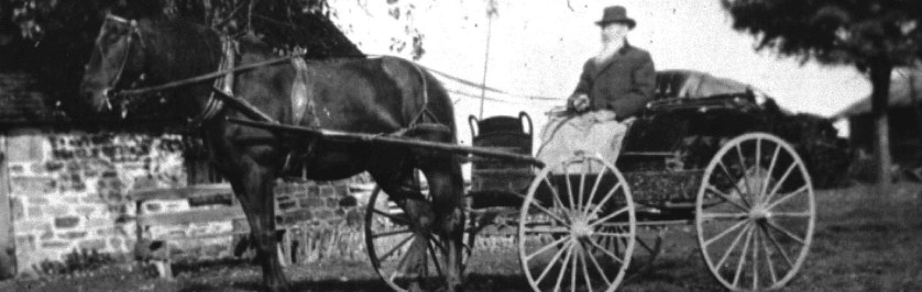 Historical Photo of Horse and Buggy