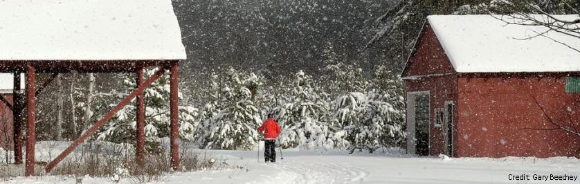 decorative banner image of a cross county skier on a snowy day, skiing past a shed painted red