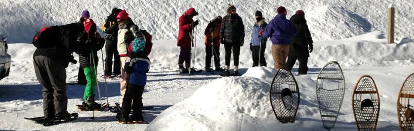 Photo of Snowshoers