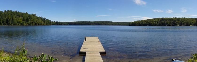 Summer St Nora Lake - blue water, dock, green trees