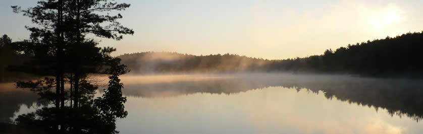 Beautiful Header Photo