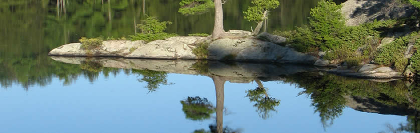 Beautiful Header Image