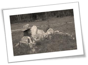 Photo of Camp Calumet Dragon
