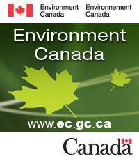 Link to Environment Canada Weather for Haliburton