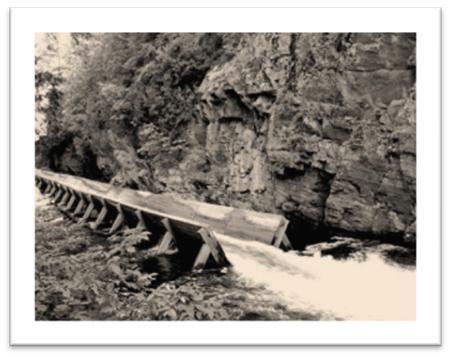 Photo of Hawk Lake Log Chute