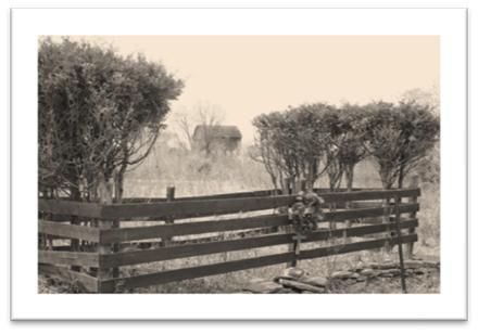 Photo of Mason Family Cemetery